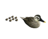 anim ducks family