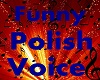 ^F^Funny Polish Voice