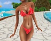Summer  Bikini