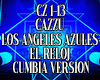 cz 1-13