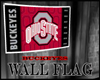 [bamz]Buckeye Wall flag