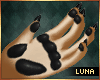 ☾ Black Paws+Claws
