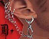 D+ Hook UP Earrings