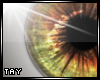 Eyescapes - Insanity M
