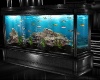 Black Fish Tank