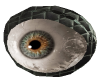 Cybernetic Eye 