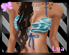 LS-Gigii (HBS)