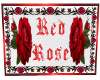 Red Rose Club Sign
