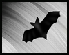 Halloween 🦇 Bat Anim