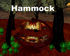 Hammock