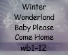 WinterWonderland Baby Pl