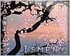 [Is] Sakura Tree