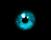 Olhos blue