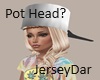 Pot Head / Hat