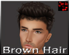 Brown Hair / Man