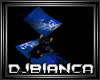 [DJ] Abyssinian Cat