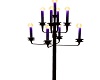 Purple candlestick