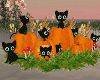 Halloween Black Kittens