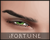 👁️ Nova Bundle