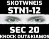 SKOTWNEIS REMIX