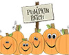 Pumpkin Patch Row