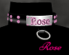 rose black pink collar