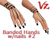 Banded Hands w/nails #2