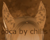 coca cat ears