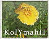 KYH | TreeHouse flowers