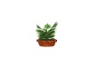 wood planter and plant