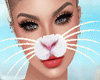 Easter Bunny Whiskers