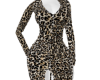 *B* Leopard