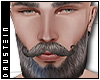 d| Daddy Daustein Beard