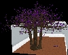 LL-Purple swing in Tree