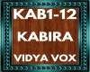 vidya vox KAB1-12