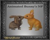 Animated Bunny's NP