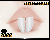 . Rat | Teeth