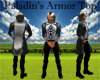 Paladin's Armor Top