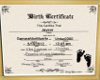 jayson birth certificate