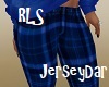 Plaid Pants Blue RLS