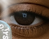 O_ COLSEN ASTERI EYES