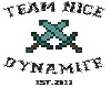 Team Nice Dynamite RT