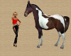 (AL) Animated Horse 1