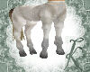 ~K~Centaur/F/body/snow