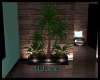 Jinz] Cozy Plants 