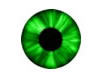 CJ69 Green Eyes {M}