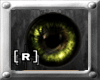 RG Essence eye darkgreen