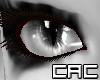 [C.A.C] Gibby Pirate Eye