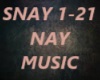 MUSIC-Sad Nay