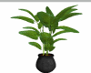 Topic Plant 2